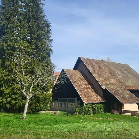 Le Du Meierhof Daire *